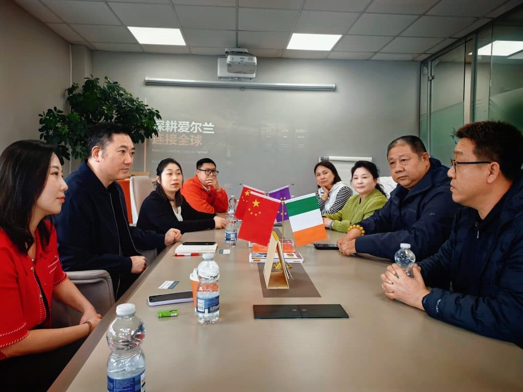 Easy2Go event | Building a bridge for Ireland–China trade: the Chamber connects with Beijing's Changping District
